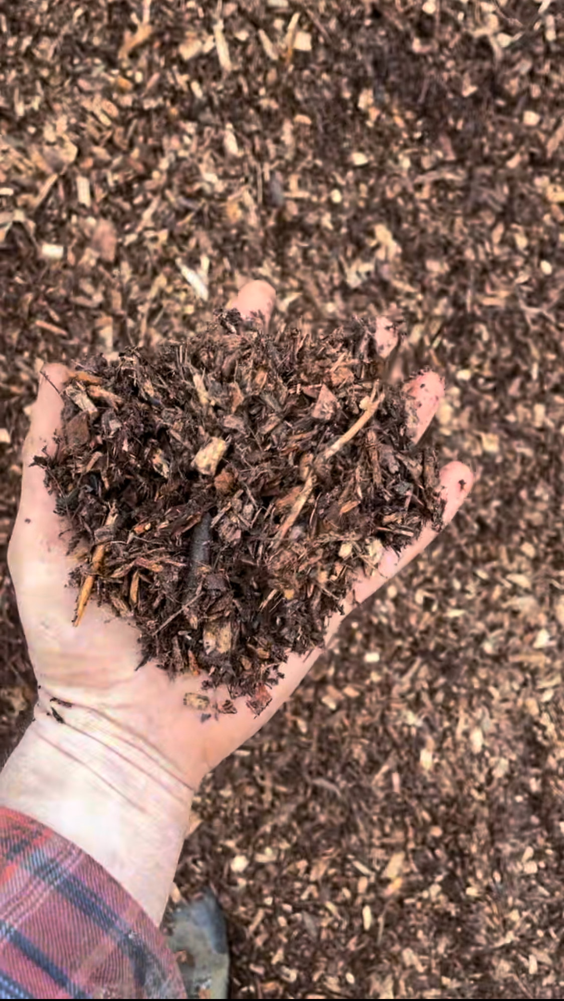 Mulch photo 3